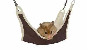 Функционален хамак за хамстери от първични материали: как да се направи и къде да се позиционира